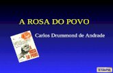 A Rosa do Povo - Carlos Drummond de Andrade