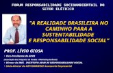 Aneel   A Realidade Brasileira No Caminho Da Sustentabilidade E Rs Livio Giosa