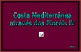 Costa Mediterranea No Pincel4