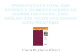 PRODUTIVIDADE TOTAL DOS FATORES E TRANSFORMAÇÕES DA AGRICULTURA BRASILEIRA: ANÁLISE DOS DADOS DOS CENSOS AGROPECUÁRIOS