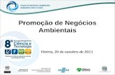 Projeto de Negócios Ambientais 2011 - Instituto IDEIAS