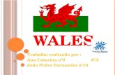 Wales   catarina e joão - sp