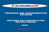 Team21 sistema controle motor diesel -