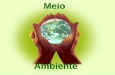 Meio ambiente (p. singer)