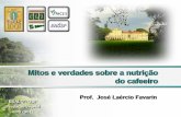 Mitos e Verdades da Nutrição Mineral do Cafeeiro - Prof. Dr. José Laércio Favarin Eslq usp - Fenicafé 2011
