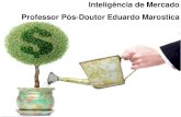 Palestra Inteligência de Mercado FGV 2012 Professor Pós-Doutor Eduardo Maróstica