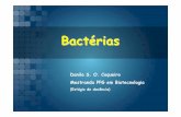 Aula   bacteriologia