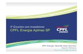 CPFL Energia Gerando Valor Contínuo - Sr. Augusto Rodrigues