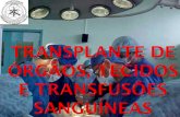 Transplante de órgãos e tecidos e transfusões sanguíneas