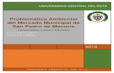 Problemática Ambiental del Mercado Municipal de San Pedro de Macorís: Características, Causas y Soluciones