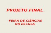Projeto final Proinfo