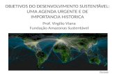 OBJETIVOS DO DESENVOLVIMENTO SUSTENTÁVEL:  UMA AGENDA URGENTE E DE  IMPORTANCIA HISTORICA - Virgilio Viana