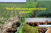 “Brasil: ¿Una nueva ganadería hacia el futuro?” José Roberto Puoli, Ph.D.