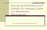 Proceso de Enfermería en el Manejo del Sistema-Cliente con Desórdenes Respiratorios Prof. Reina del C. Rivera MSN, RN.