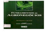Livro Fundamentos-De-Agronegocios Araujo Massilon