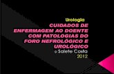 A 2ano Urologia - Salete Costa 2012 Rev1