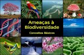 Ameaças à Biodiversidade