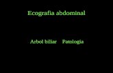 Ecografia abdominal Arbol biliar Patologia. Ecografia abdominal Vias biliares intrahepaticas:Dilatacion: Signos ecograficos :Se presentan como multiples.