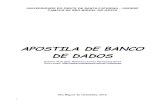 61074359 Apostila Banco Dados
