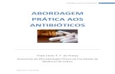 Abordagem aos antibi³ticos - Sebenta Antibi³ticos - Filipe Arajo