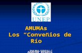 AMUMAs Los Convenios de Río Andrea Brusco PNUMA/ORPALC.