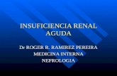 INSUFICIENCIA RENAL AGUDA Dr ROGER R. RAMIREZ PEREIRA MEDICINA INTERNA NEFROLOGIA.
