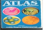 Atlas de Microbiologia de Alimentos - Judith R. Hajdenwurcel