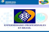BRASIL ENFERMEDADES PROFESIONALES ENFERMEDADES PROFESIONALES EN BRASIL.