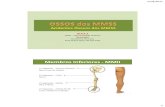 3. Roterio de Aula Prática - OSSOS dos MMII. Flávio Rossi de Almeida - Anatomia Humana