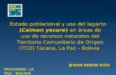 Estado poblacional y uso del lagarto (Caiman yacare) en áreas de uso de recursos naturales del Territorio Comunitario de Origen (TCO) Tacana, La Paz –