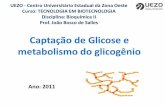 5-Captação de Glicose e metabolismo do glicogênio