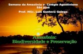 Semana da Amazônia v- Colégio Agostiniano São José Prof. MSc. Luís Gustavo Galego.