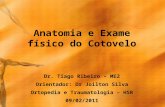 Anatomia e Exame físico do Cotovelo - Tiago
