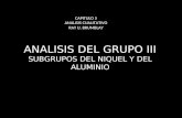 ANALISIS DEL GRUPO III SUBGRUPOS DEL NIQUEL Y DEL ALUMINIO CAPITULO 5 ANALISIS CUALITATIVO RAY U. BRUMBLAY.