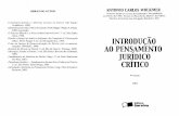 Antônio Carlos Wolkmer – Introdução ao Pensamento Jurídico Crítico (2º Pergunta)