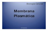 Biologia Celular(MEMBRANA)