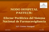 Aulas Pasteur 12/11/2014 NODO HOSPITAL PASTEUR: Efector Periférico del Sistema Nacional de Farmacovigilancia Q.F. Cristina Amengual EFECTOR PERIFÉRICO.