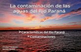 La contaminación de las aguas del Río Paraná  Características del Rio Paraná  Contaminaciones Cristian Fernández Luciano Encina.