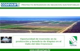 1  PROYECTO INTEGRADO DE NEGOCIOS SUSTENTABLES Oportunidad de inversión en la producción y beneficio de tilapias en el Valle del São.