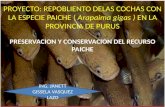 Exposicion Conservacion y Preservacion Del Recurso Paiche