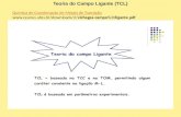 97668847 Teoria Do Campo Ligante TCL