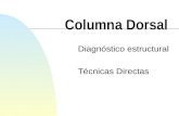 Columna Dorsal Diagnóstico estructural Técnicas Directas.