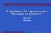 O algoritmo AES - Apresentação e Descrição da Estrutura.slides