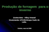 Produção de forragem para o inverno Zootecnista - Alliny Amaral Doutoranda UFG/Embrapa Gado de Leite. Goiânia, maio de 2008.