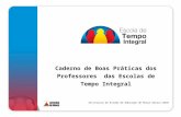 Caderno de Boas Práticas dos Professores das Escolas de Tempo Integral Secretaria de Estado de Educação de Minas Gerais-2010.