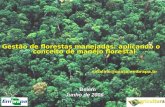 Gestão de florestas manejadas: aplicando o conceito de manejo florestal natalino@cpatu.embrapa.br Belém Junho de 2006.