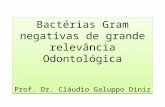 Bactérias Gram negativas de grande relevância Odontológica Prof. Dr. Cláudio Galuppo Diniz Bactérias Gram negativas de grande relevância Odontológica Prof.