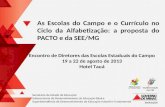 Estrutura e modelo de governança Belo Horizonte, 15 de Janeiro de 2013 Relatório da atividade Definição do modelo de governança do programa, especialmente.
