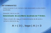 Determinante é um número real associado a uma matriz quadrada. Notação: det A ou |A|. Seja a matriz A = (a 11 ). O determinante de A será o próprio elemento.
