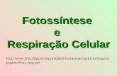 Fotossíntese e Respiração Celular  aginas/foto_resp.ppt.